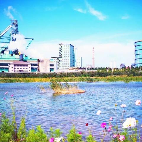 唐山渤海鋼鐵公告解讀與分析