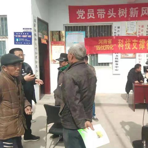 通許西瓜產(chǎn)地報(bào)價(jià)最新分析
