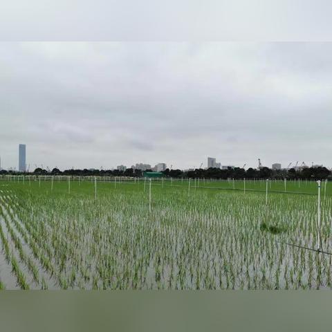 水利未來藍(lán)圖，高效可持續(xù)建設(shè)新定額揭秘，展望水利2025新篇章