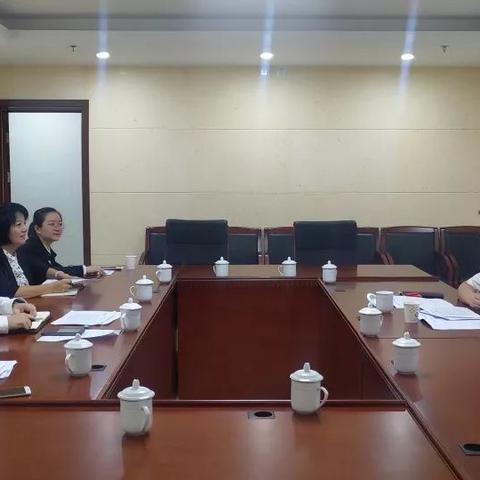 小說(shuō)葉凡最新篇章揭秘，數(shù)據(jù)背后的故事傳奇